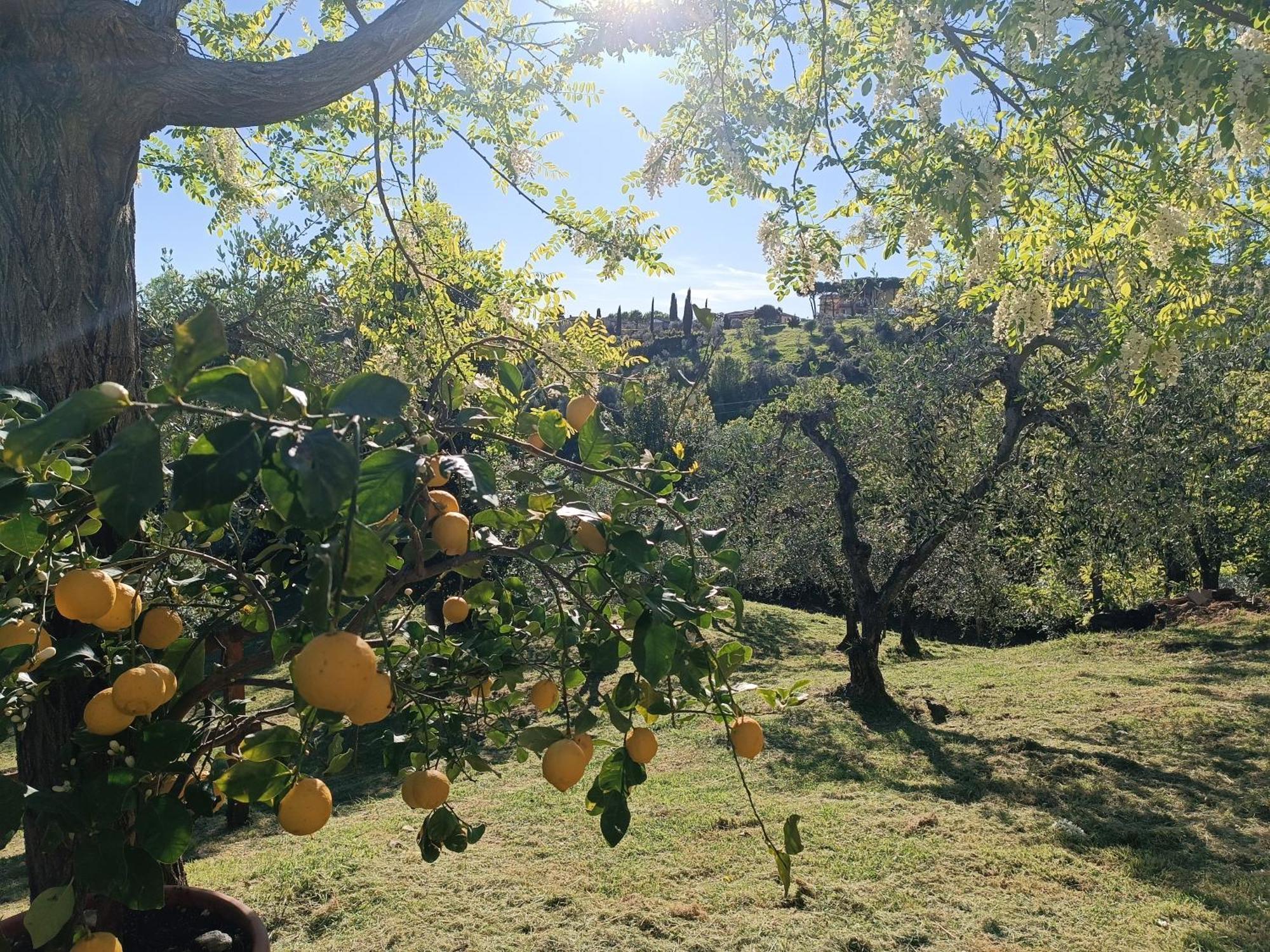 Le Massucce San Casciano in Val di Pesa Exterior foto